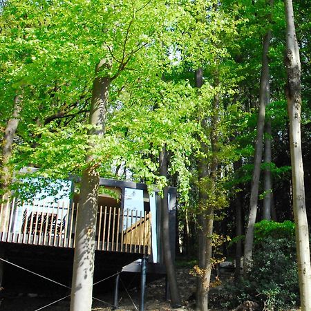 Gite Des Bois De Spa Exterior foto