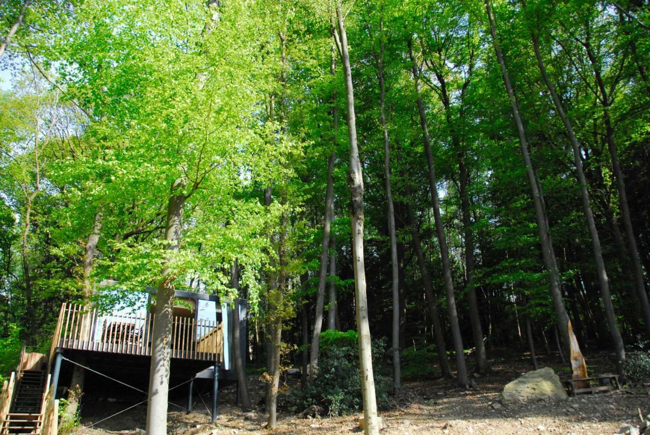Gite Des Bois De Spa Exterior foto